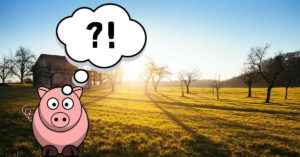 Entscheidungsfreiheit - Ein Schweinchen namens Babe